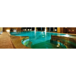 S2 Żółw przy dnie- obraz z mozaiki 312x192cm